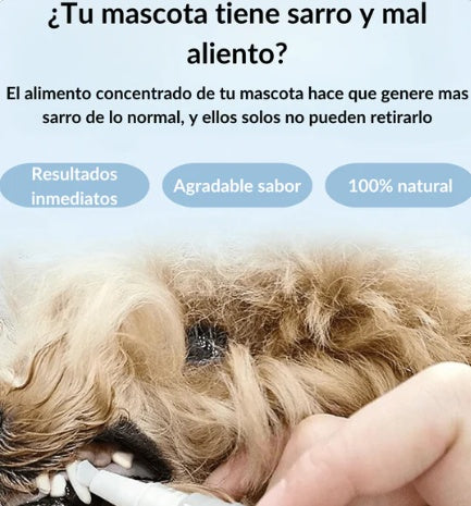 Dale a tu mejor amigo una sonrisa saludable y aliento fresco hoy.
