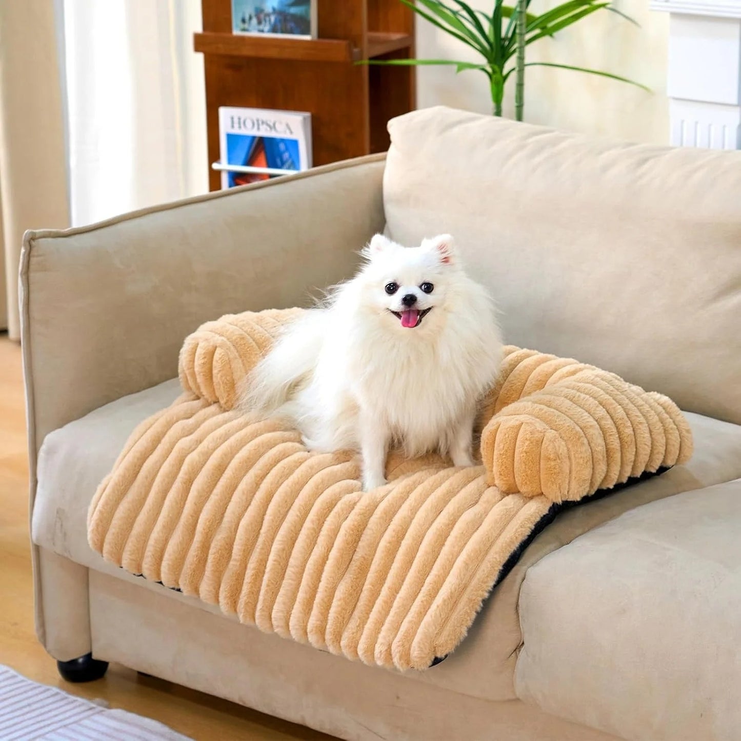 🐶 Protector & Tapete Cozy para Mascotas
