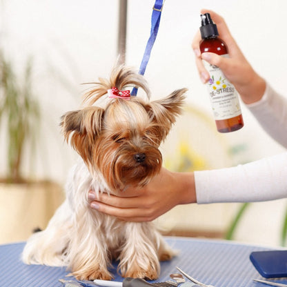 Perfuma, relaja y transforma el estado de tu mascota 🐶✨ 2*1  COL